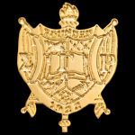 SGRho Lapel Pin