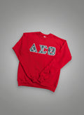 Red sweatshirt with Greek letters on a gray background