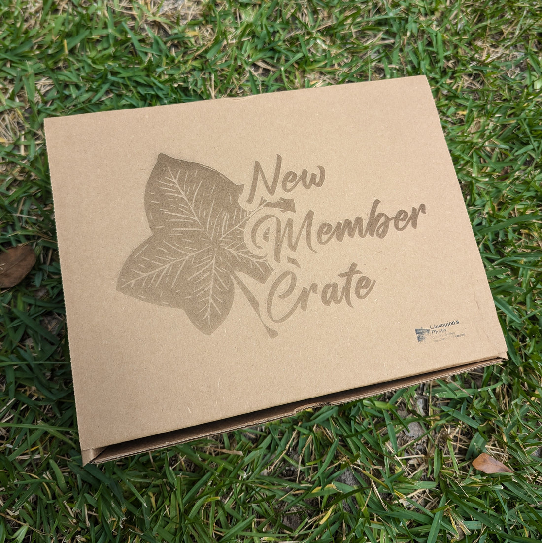 A cardboard gift box with the text 'NEW MEMBER CRATE' printed on it, placed on grass with an ivy leaf design beside it.