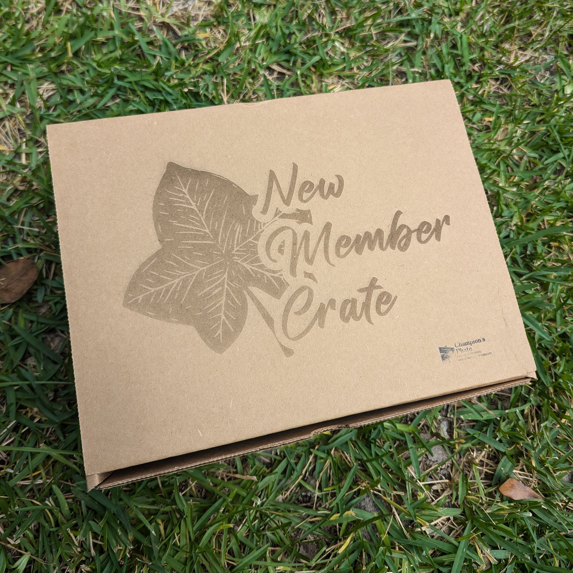 A cardboard gift box with the text 'NEW MEMBER CRATE' printed on it, placed on grass with an ivy leaf design beside it.