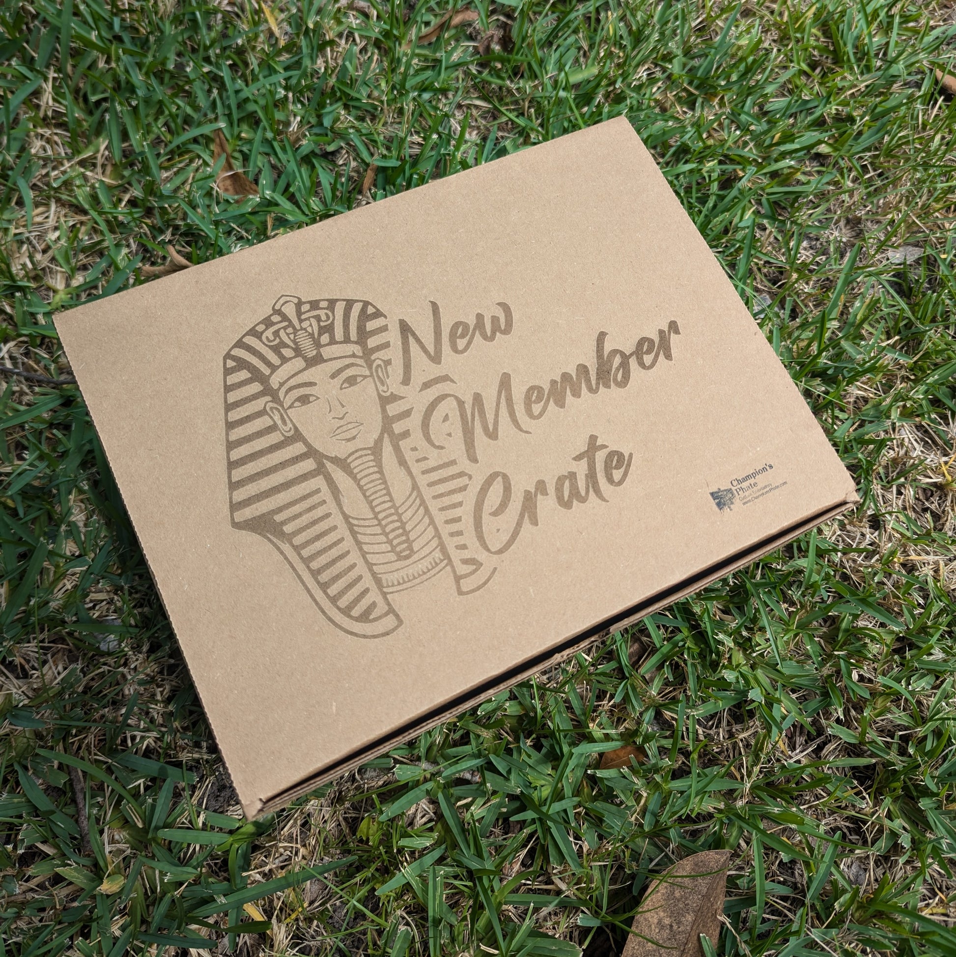 Cardboard box with 'New Member Crate' text and Pharaoh illustration on grass