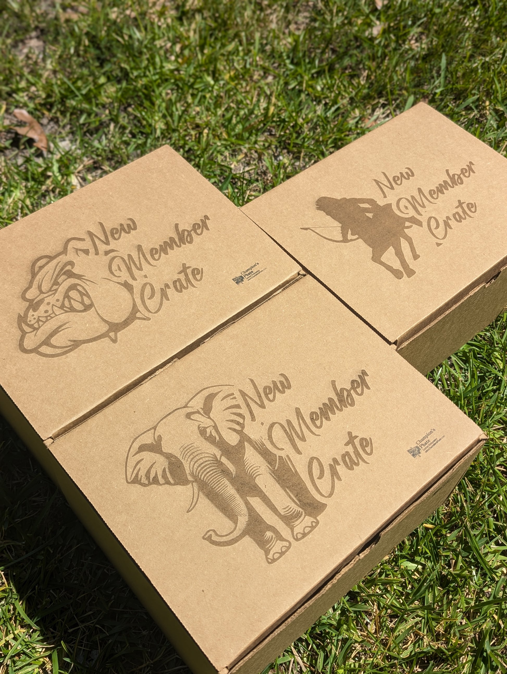 cardboard boxes with designs