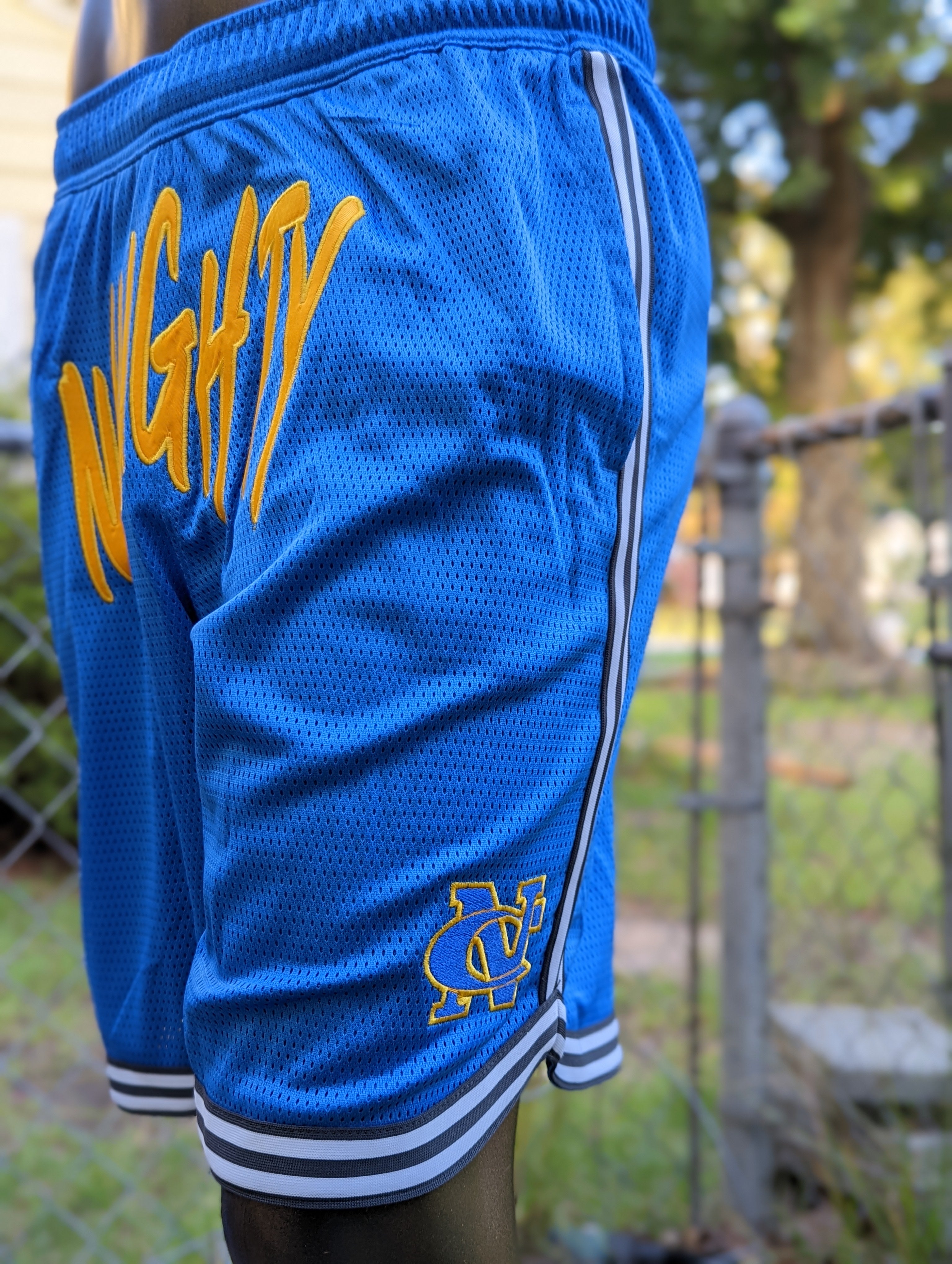 Custom champion shop mesh shorts